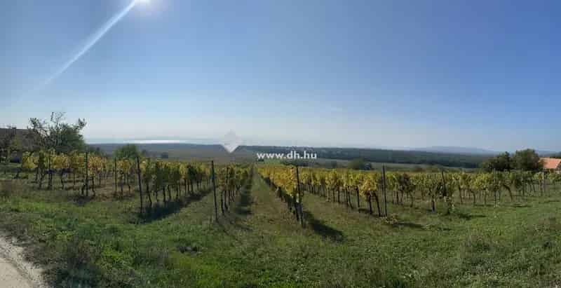 Dörgicsei Szőlőterület Eladó Csodás Panorámával