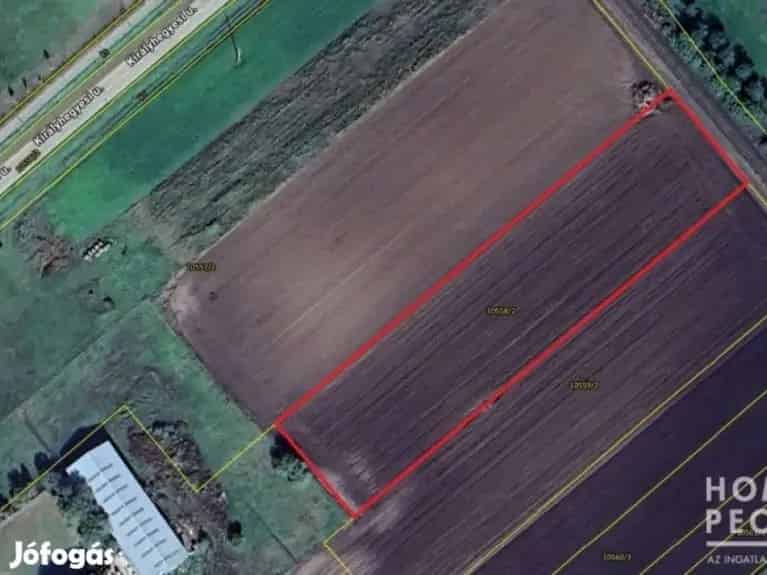Makói belterületi ipari telek eladó 12 366 m2