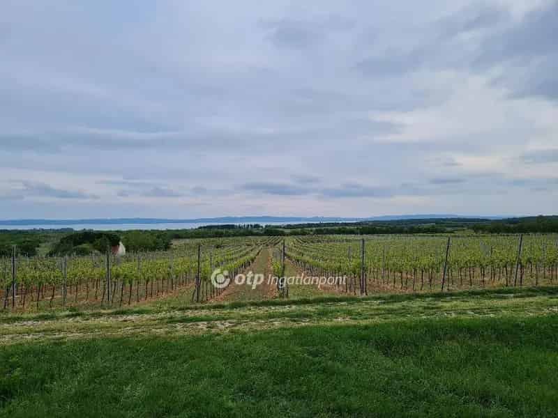 Balatoni panorámás szőlőbirtok eladó Tagyon