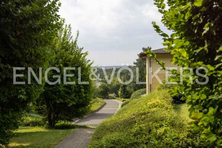 Bérlés, lakás, Hármashatár-hegy, közel a természethez