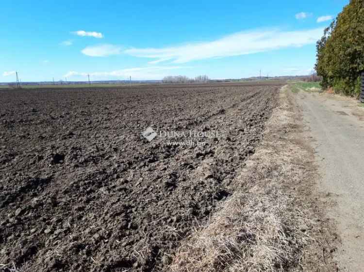 Eladó telek Lepsényben 6745 nm nagysággal