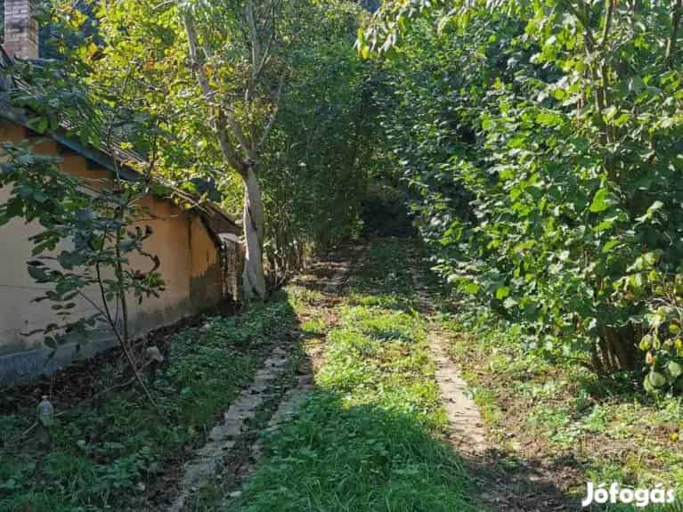 360 nm-es ipari ingatlan eladó Szécsényben