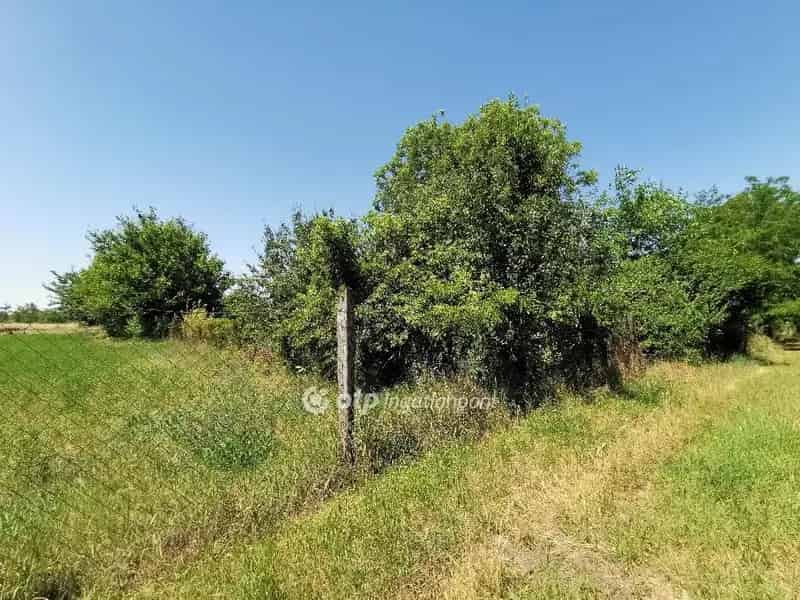 Dömsöd Öreg Szőlőhegy 1410 m2-es zártkerti telek eladó