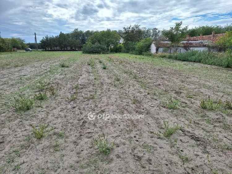 Telek kis házzal Tiszakécskén eladó
