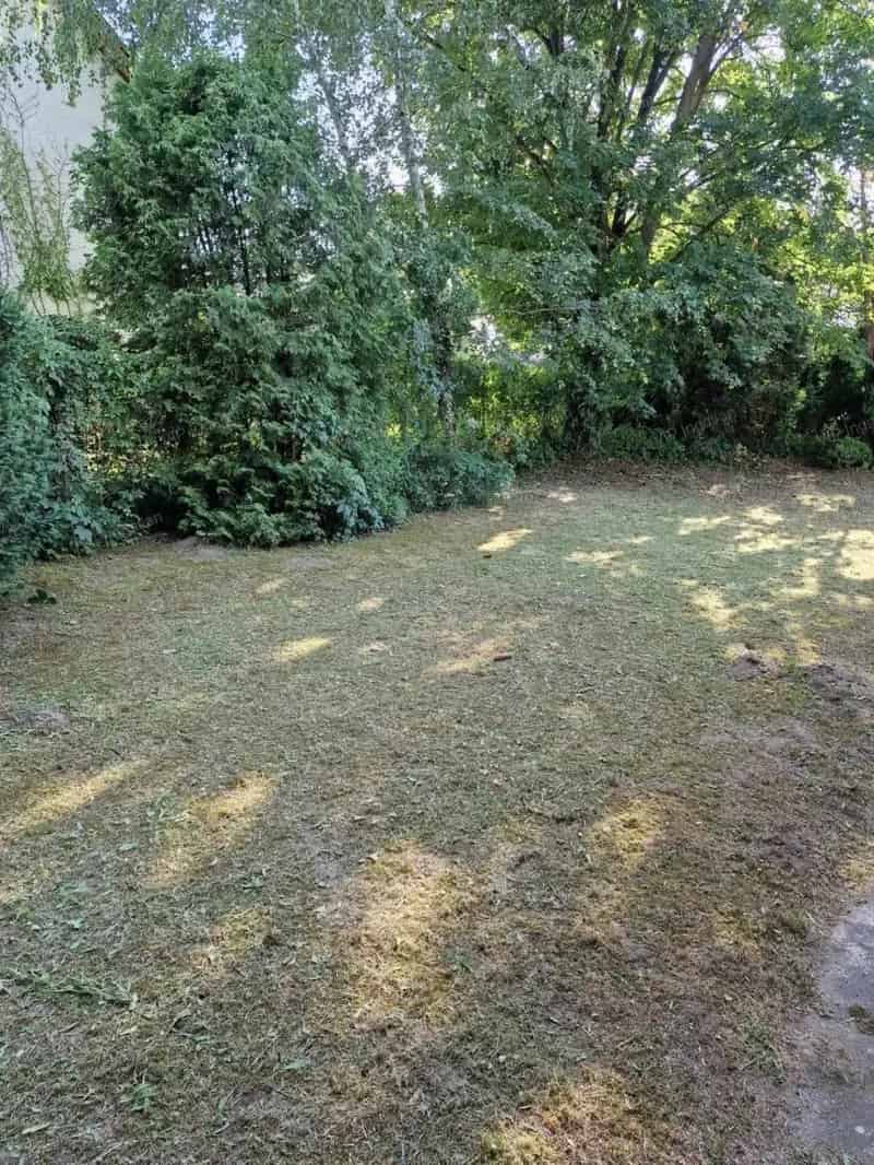 Alsógöd 548m2-es Telek Eladó - Családi Ház Építésére Alkalmas