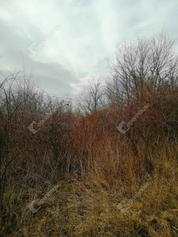 Panorámás zártkerti telek eladó Nagykapornakon