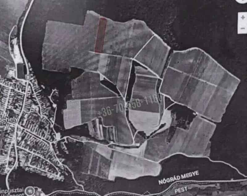 14 999 m2 Oportói Szőlőültetvény Eladó Szendehelyen