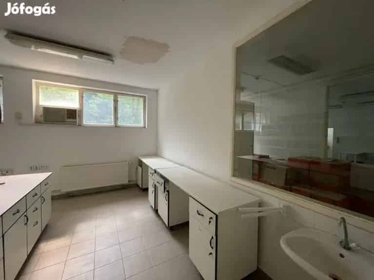 Balatonfűzfői Ipari Ingatlan Eladó 1027 m2