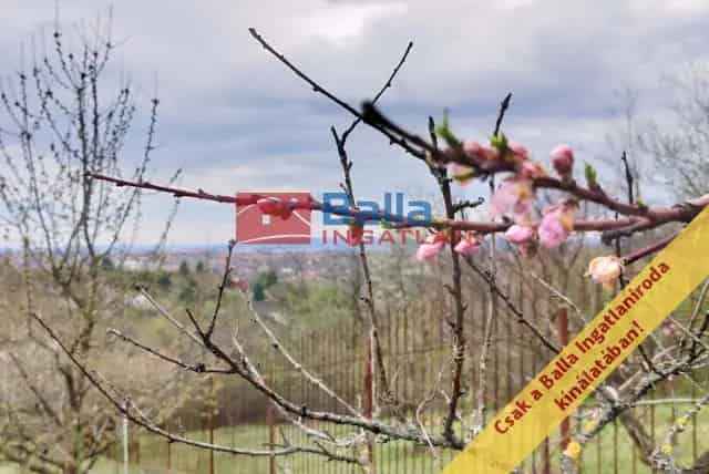 Kerepesi Üdülő 658nm Telekkel, Faházzal Eladó
