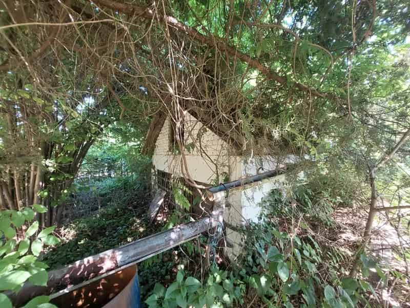 Siófoki szántó eladó présházzal Balaton közelében