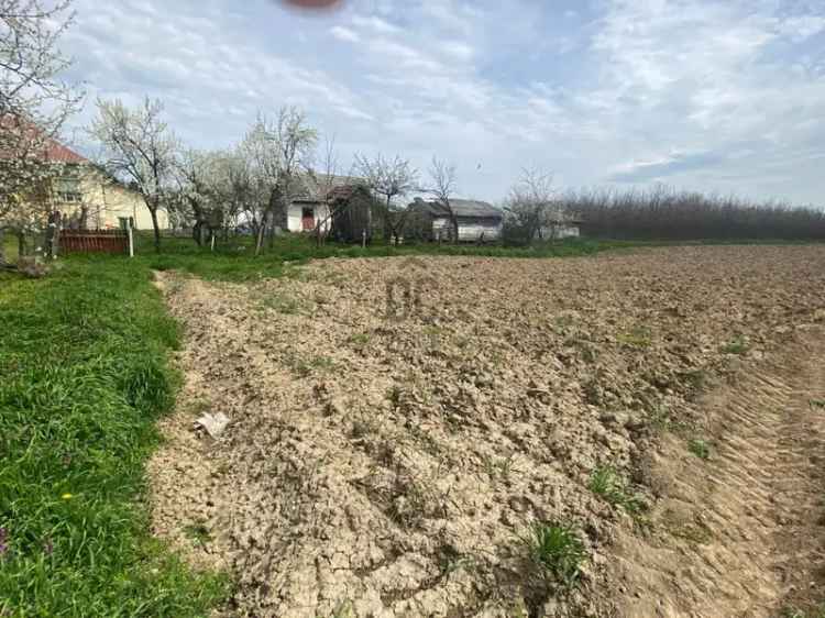 1500 nm-es Telek Eladó Lónyan Mezőgazdasági es Építési Célra
