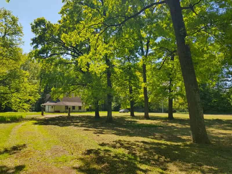 Nagykanizsa 80000m2 Parkos Telek Eladó
