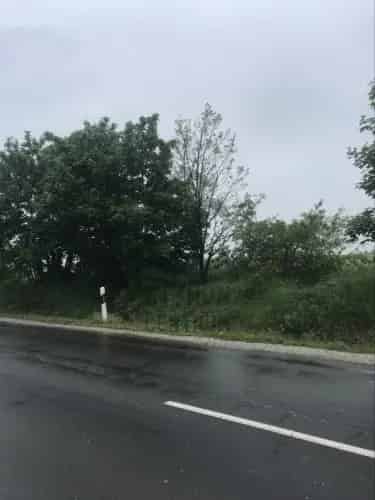 Vácrátóti eladó mezőgazdasági ingatlan 5907 nm