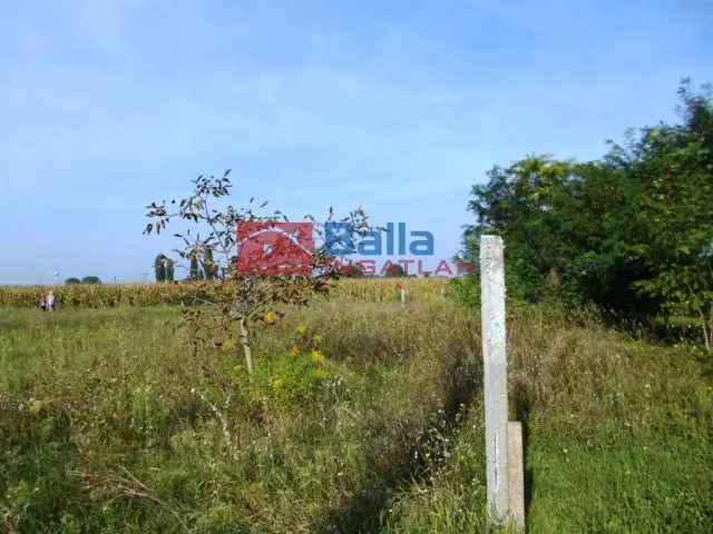 Szigetcsép Telek Elado Duna Kozelben 519 m2