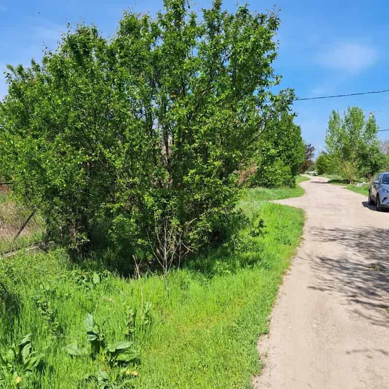 800 m2-es telek eladó Szolnok közelében