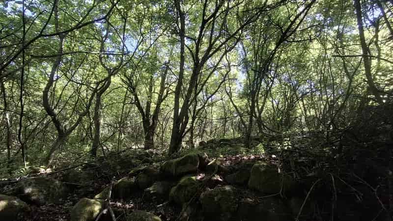 Panorámás Telek Eladó a Sár-hegyen Gyöngyösön