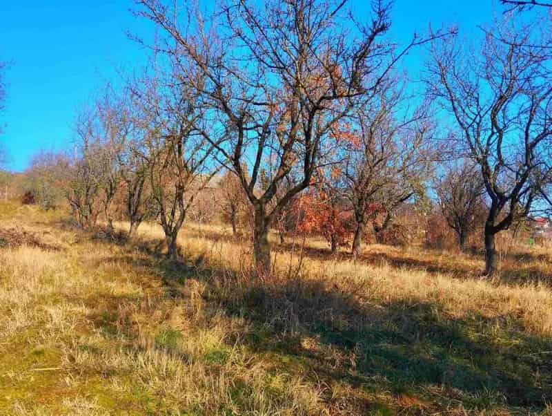 Alsóörs örökpanorámás telek eladó 2571 m2