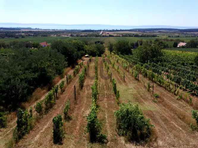 Tagyon Balatoni Panorámás Telkek Eladó