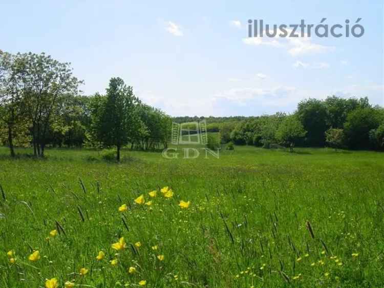 1001 m2-es Telek Eladó Úrhida Központjában