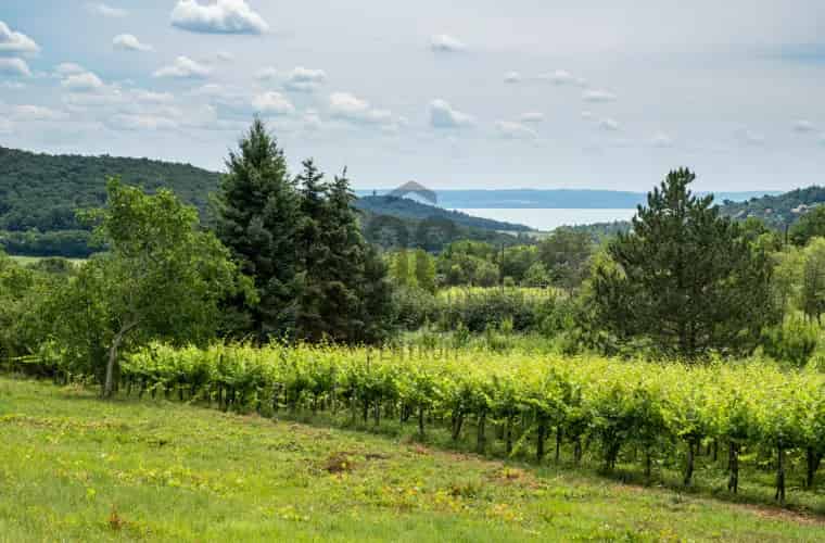 Felsőörsi panorámás telek eladó befektetőknek