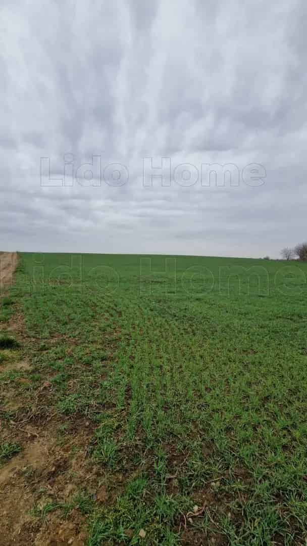 Fertőszéplak 14375 nm-es szántó eladó befektetőknek