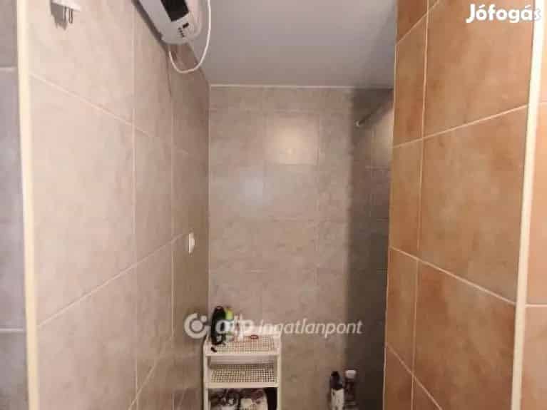 Csengelei eladó tanya 58 nm 4244 m2 telekkel