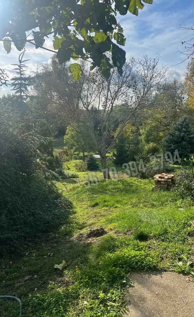 Kömlődi 3661m2-es Építési Telek - 110/87m2 Ház Építési Engedéllyel