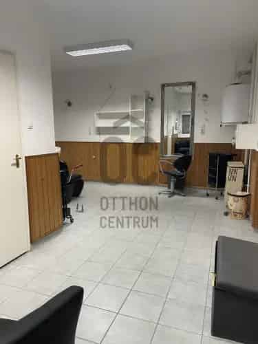 Abonyi üzleti ingatlan eladó 210nm 464nm telekkel