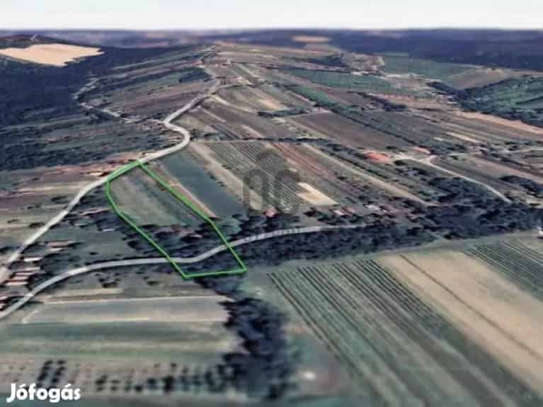 Becsehelyi telek eladó 2 présházzal gyümölcsfákkal