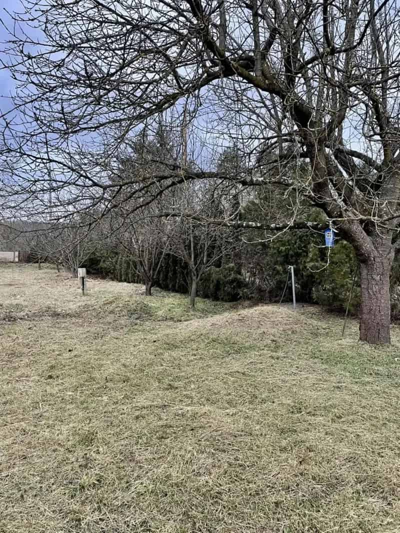 Parkerdő Panorámás Beépíthető Telek Eladó