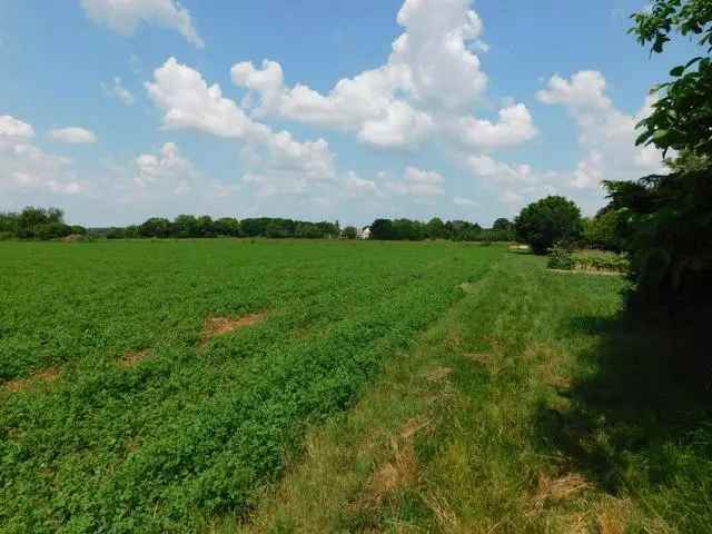 Kaposvár-Toponár 5617 m2-es Építési Telek Eladó