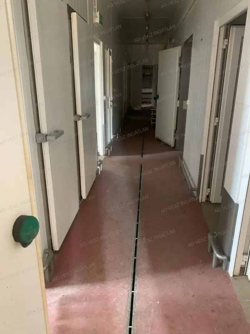 Iparterület eladó Tatárszentgyörgyön 420m2 4780m2 telekkel
