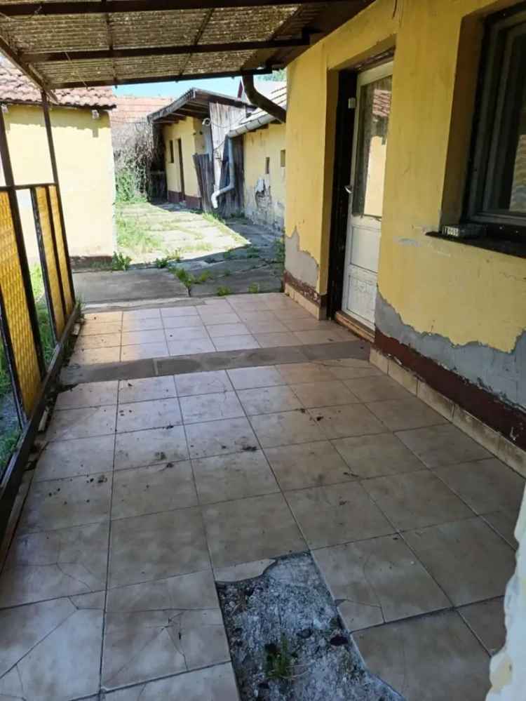 705 nm-es Telek Lebontando Hazzal Hajduszoboszlo