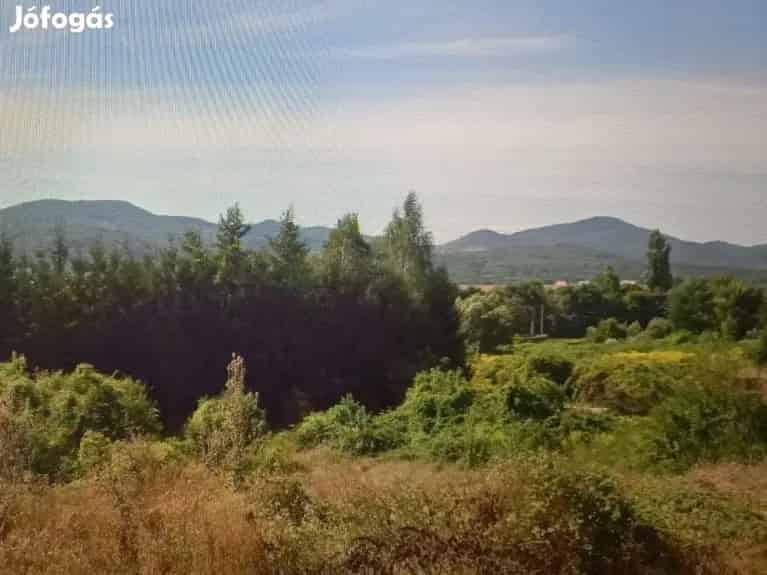 Recsk Telek Elado 2205 m2 Belterulet Kozelmuvek