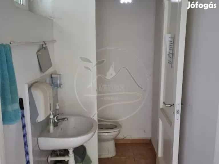 Füzesgyarmat Üzlethelyiség Eladó 47 3 m2 Raktárral