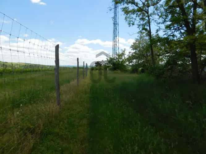 Kötcsei panorámás szőlőbirtok eladó