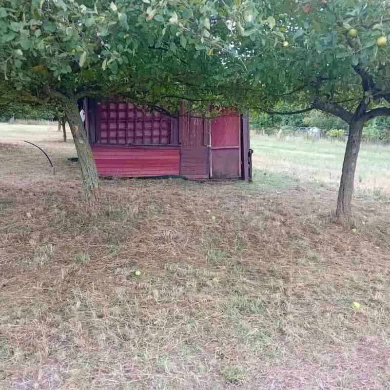 Balatonboglár külterületi kert eladó - 2844 m²