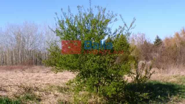 Siófok Békásdűlő 5574 m2-es Telek Eladó