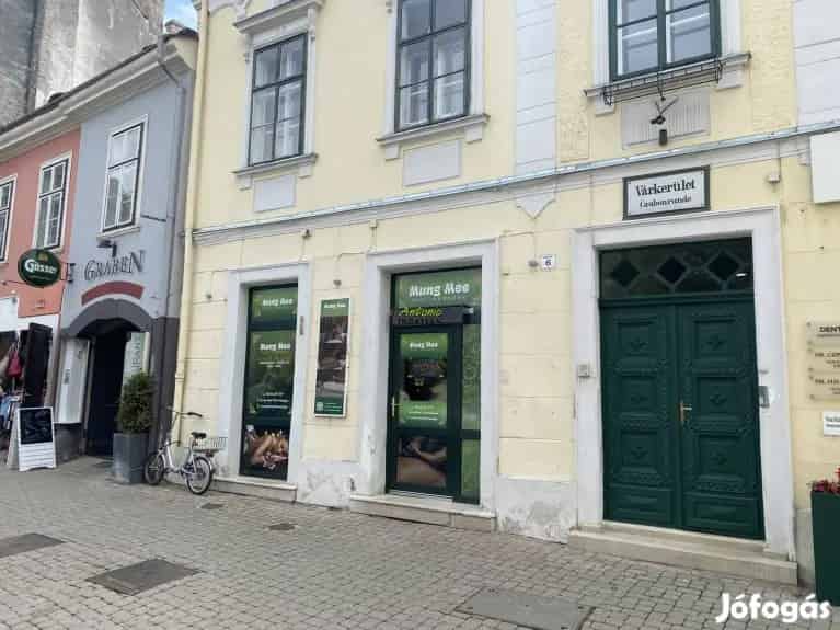 Sopron Belvaros 40 nm-es Uzlethelyiseg Elado Befektetőknek