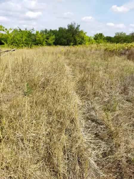 Telek Kiadó , Ceglédi járás, Közép-Magyarország
