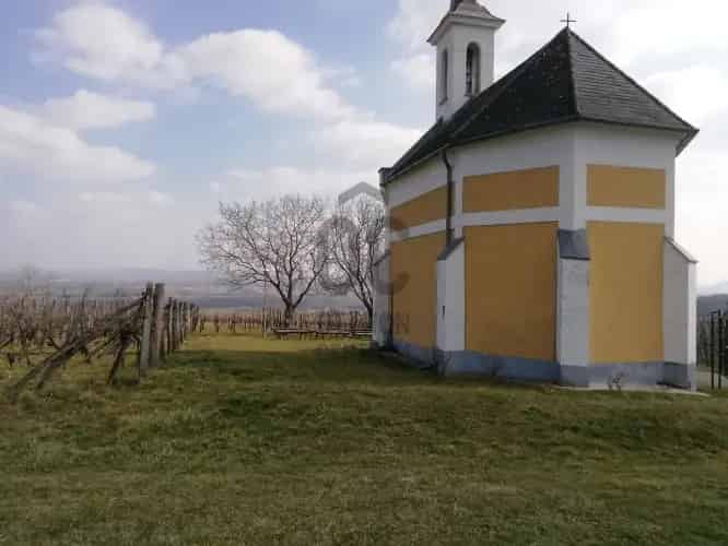 Lesenceistvand elado szolőskert Balaton panoramával