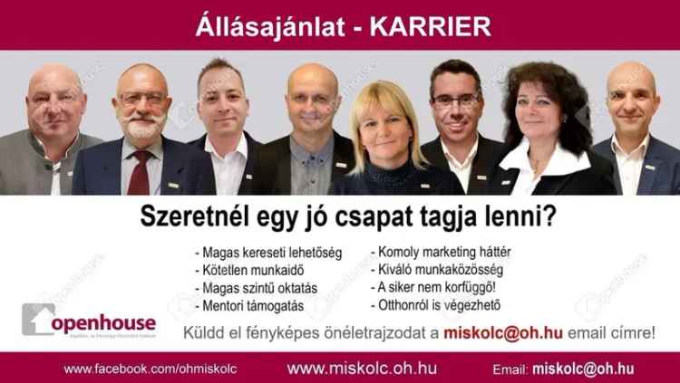 7 Hektáros Termő Szőlő Eladó Sárazsadányban Tokaj Hegyalján