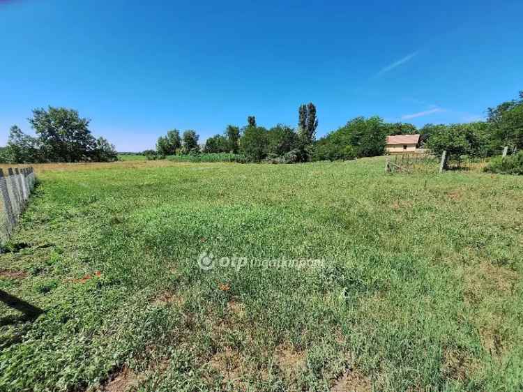 Eladó építési telek Tiszakécskén csodás panorámával