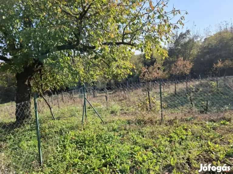 Galamboki eladó 30 nm-es ház - Galambok, Nyaralók, üdülők - Jófogás Ingatlan