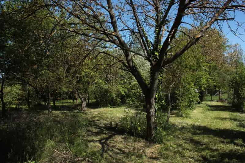 Solymár 798 m2-es építési telek eladó