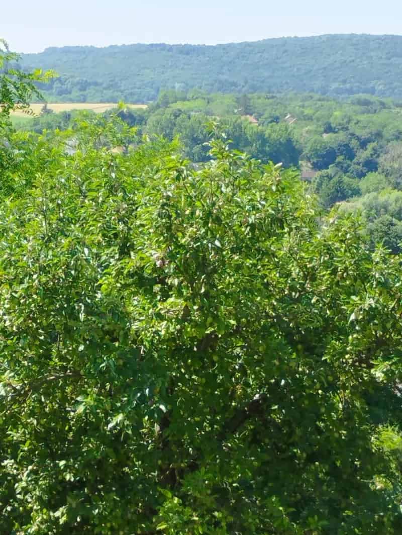 Eladó ház Bakonyszentkirályon - 4 szoba, 3269 nm telek, panoráma