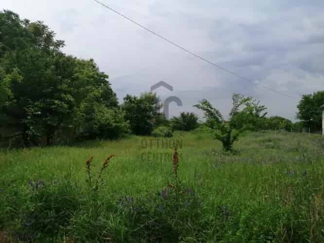 Tápiószőlősi Telek Eladó - 1032 m2 - Cegléd Közelében