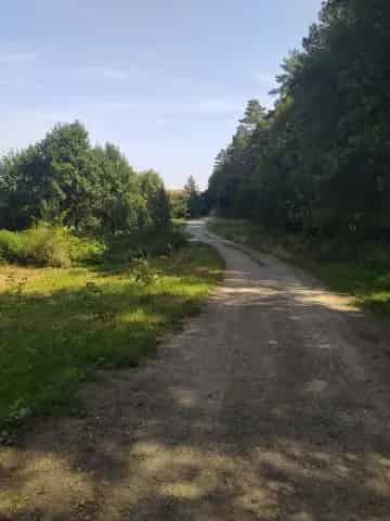 Dunabogdány örökpanorámás telek eladó