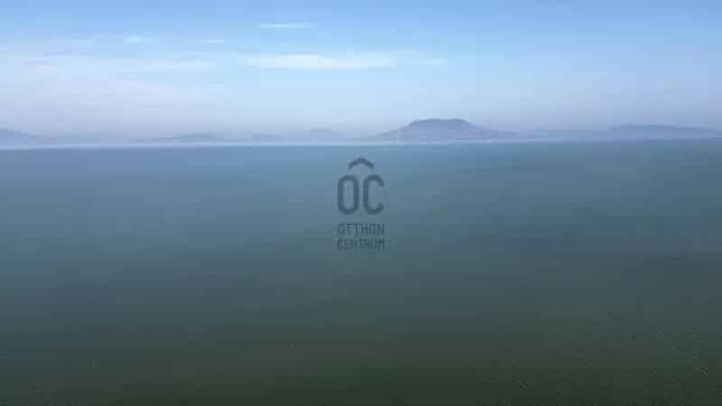 Balatonfenyvesi telek eladó 3335 m2 28 méter partszakasz