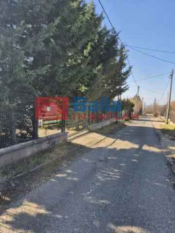 Eladó telek Cinkotán 865 nm-es telken felújítandó házzal